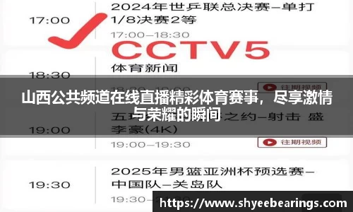 山西公共频道在线直播精彩体育赛事,尽享激情与荣耀的瞬间